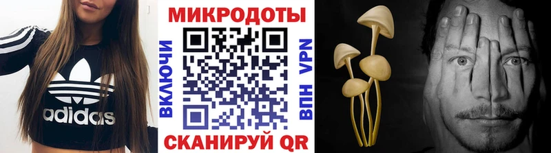 Псилоцибиновые грибы Cubensis  гидра как войти  Торопец 
